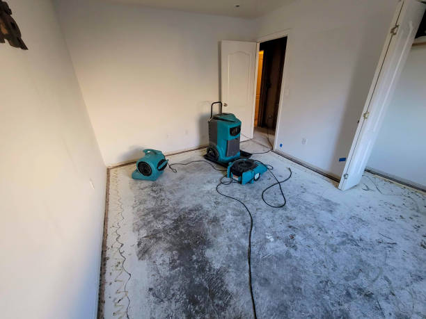 Best Flooded house restoration  in Val Verde, CA