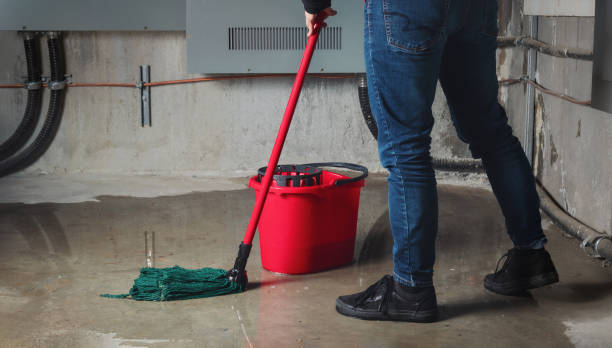 Best Fire Damage Restoration  in Val Verde, CA